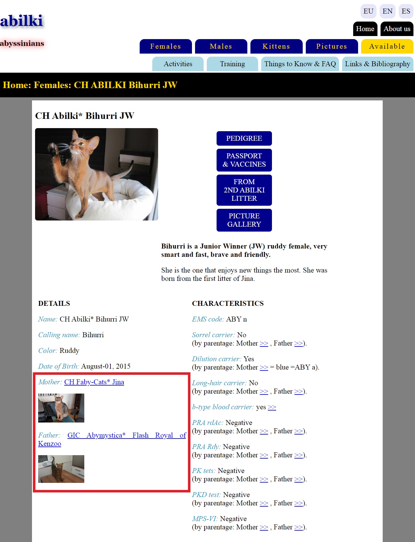 Improvements on the Web-site . September 6, 2022. On cats' profiles of details.