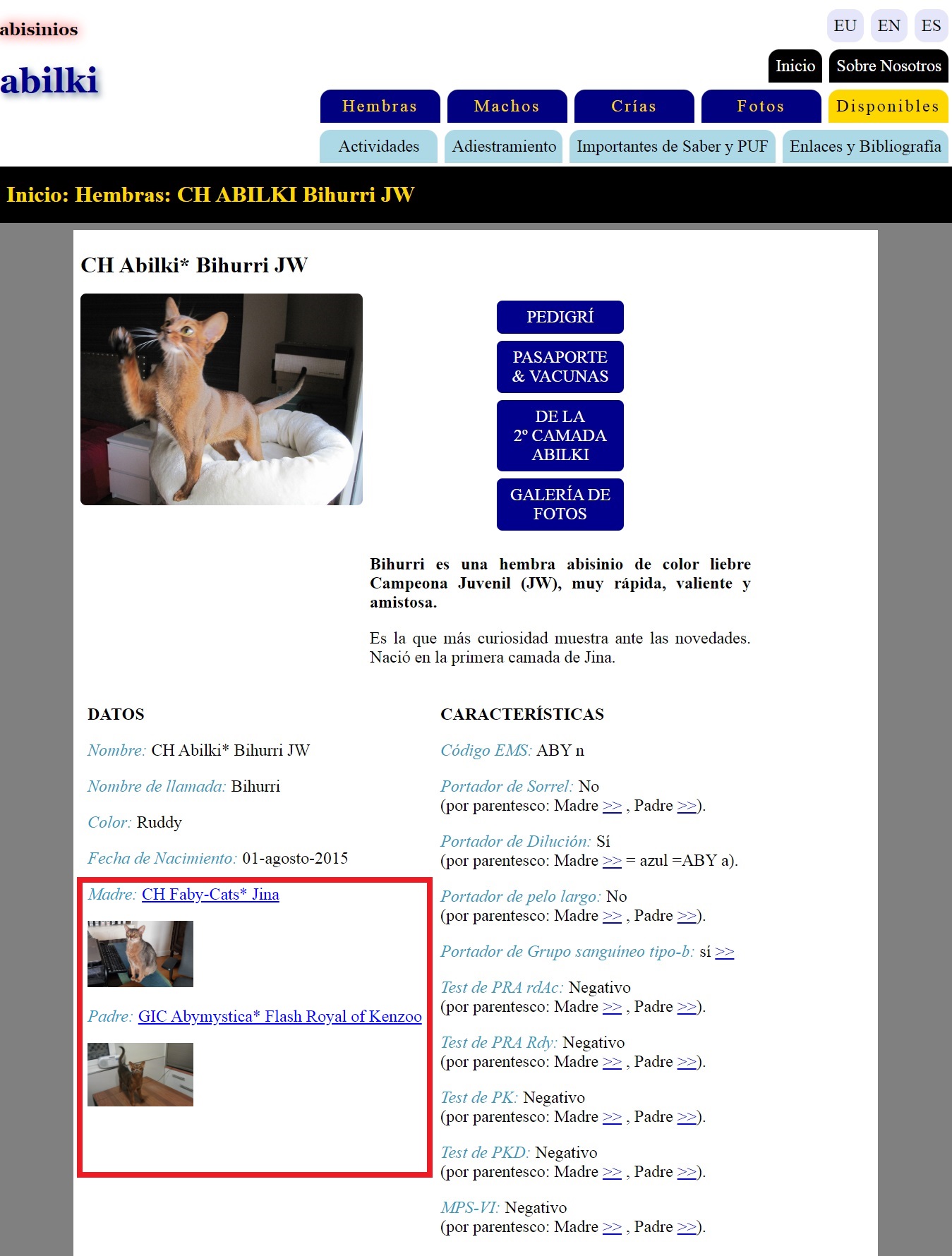 Mejoras en el portal-Web. 6-septiembre-2022. En los perfiles de detalles de los gatos.