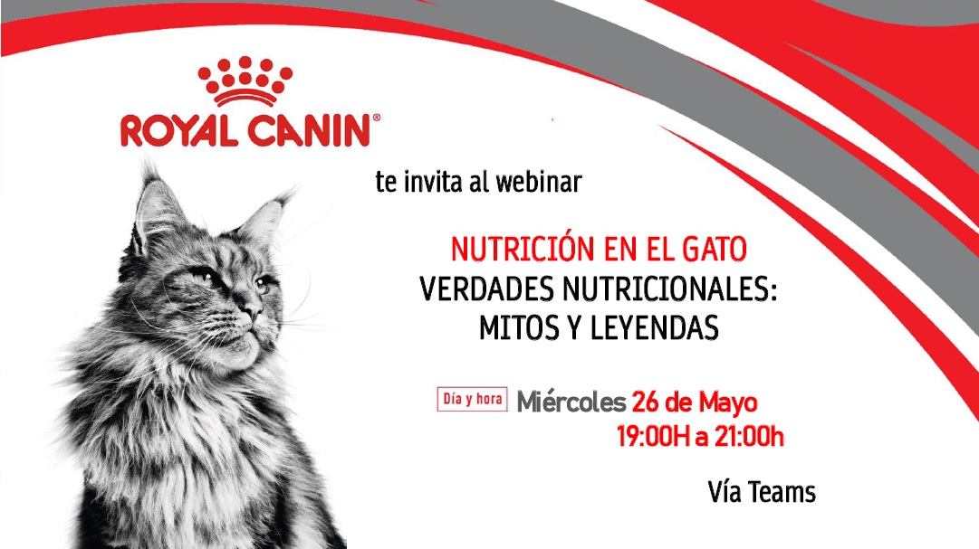 Jardunaldia, Royal Canin-2021 - Feline nutrition